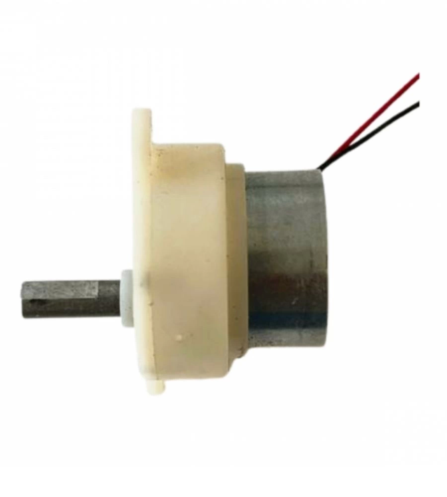 Kuluçka Makinesi Mini Viyol Çevirme Motoru 12 Volt ( Lisinya )