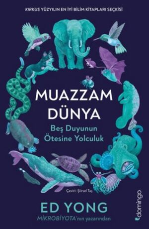 Muazzam Dünya Beş Duyunun Ötesine Yolculuk