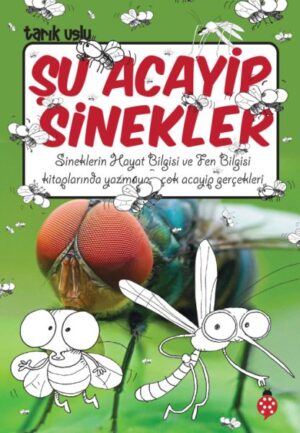 Şu Acayip Sinekler