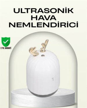 ABS+PP Malzemeli Taşınabilir 220 ml USB Mist Nemlendirici - Lisinya