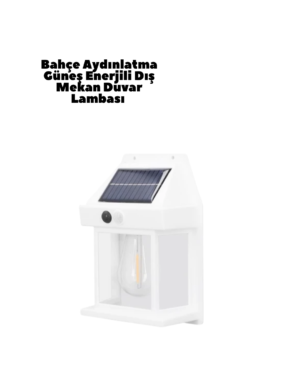 Güneş Enerjili Duvar Lambası BK888 - Lisinya